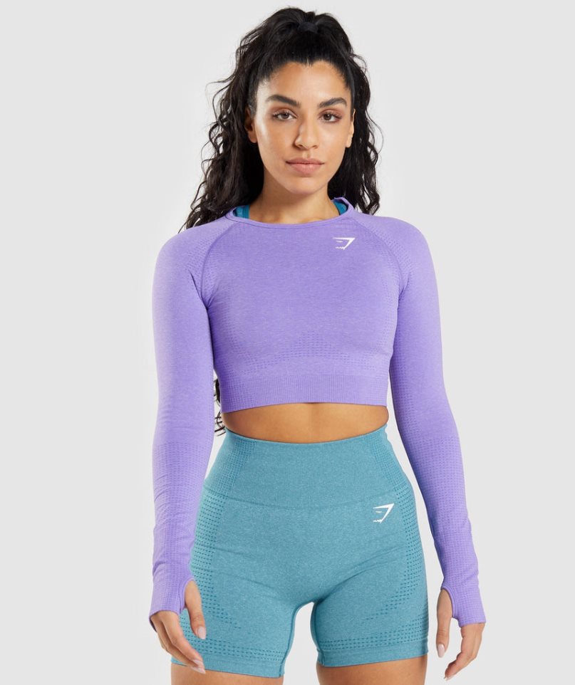 Przycięte Topy Gymshark Vital Seamless 2.0 Long Sleeve Damskie Lawenda | PL 296RLH